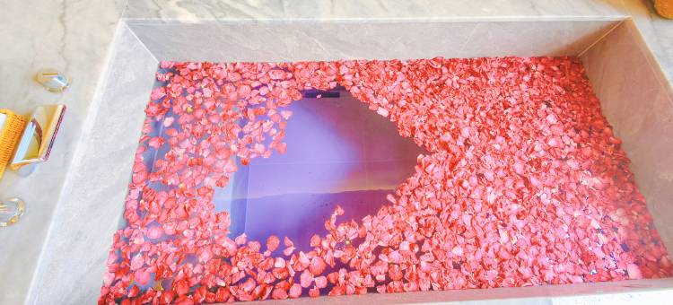 山野温泉酒店(宜春温汤店)图片