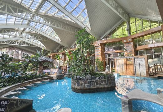 Changbaishan Tianmu Daisi Hot Spring HotelHotel Overview