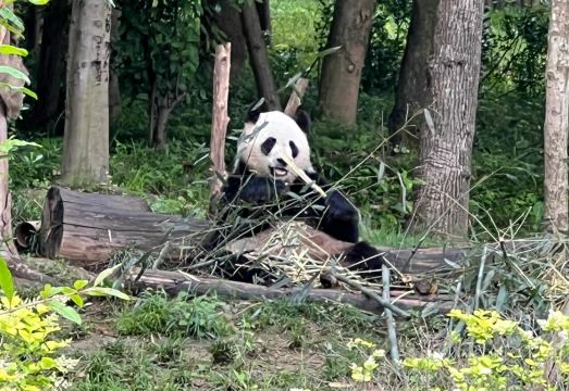 Mengqi Hotel (Chengdu Shuangliu International Airport Baijia Market Branch)Hotel Overview