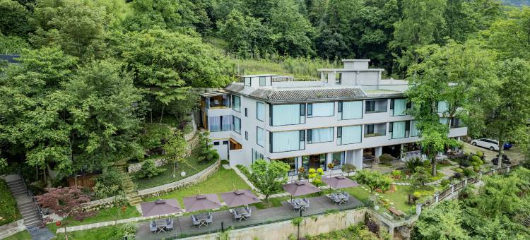 青城山.悟尘一宿森林温泉民宿(青城后山景区店)图片