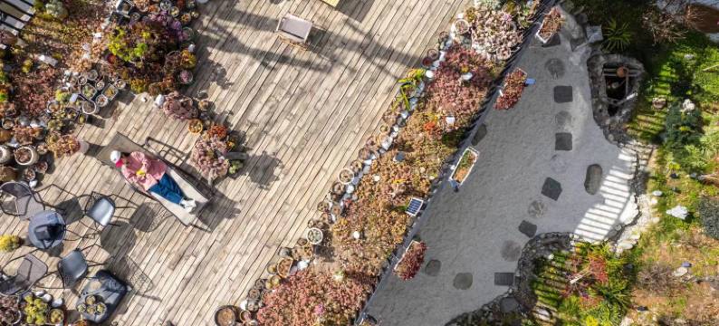 大理田居山景民宿(洱海龙龛码头店)图片