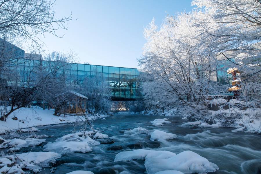 長白山在之禾度假酒店·二道白河店