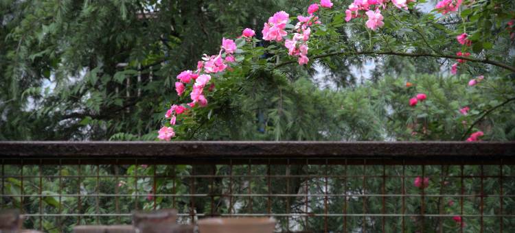 爱利根ELEGANT异国印象·美式风格Club酒店(浦江店)图片