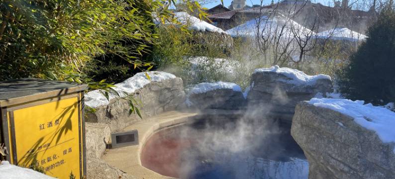 大连金石滩绿发温泉假日酒店图片