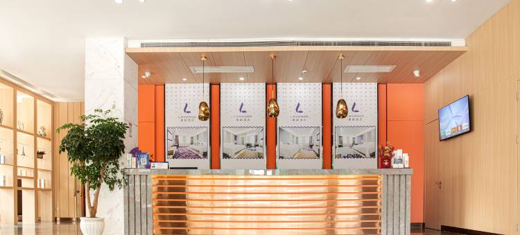 麗枫酒店(安乡店)图片