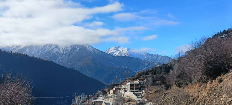 问山·寻隐Mist haven观景民宿图片