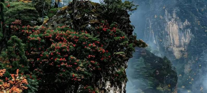 九寨印象·藏韵阁·云上度假美宿图片