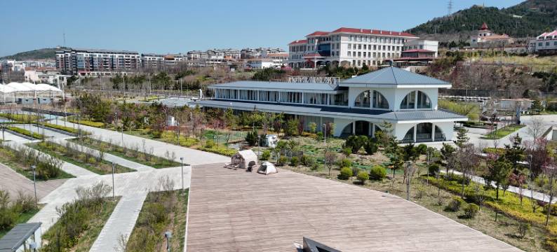 长岛露营地图片