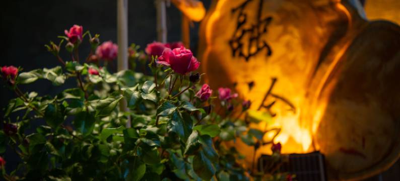 融舍·手工美学精品民宿(特克斯八卦城店)图片