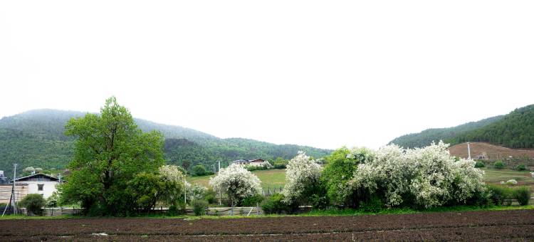 香格里拉阁格悠居民宿图片