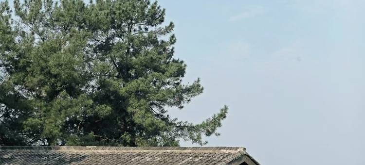 缙云小住丨避世·森系·冶愈·美宿(重庆缙云山4A景区店)图片