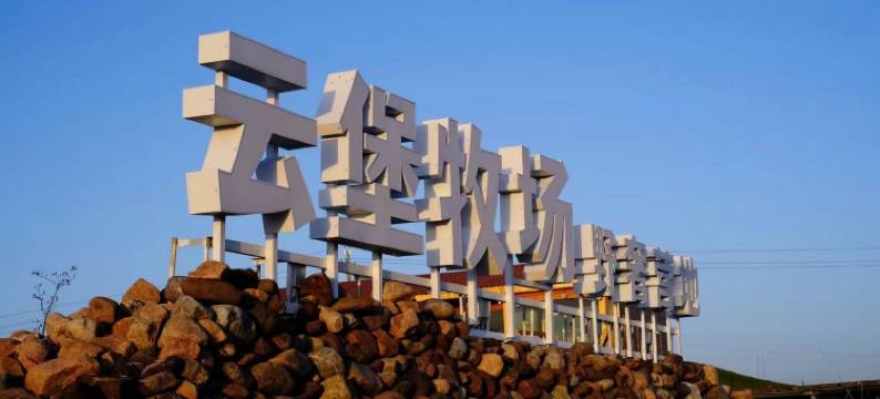 昭苏云堡牧场野奢营地图片