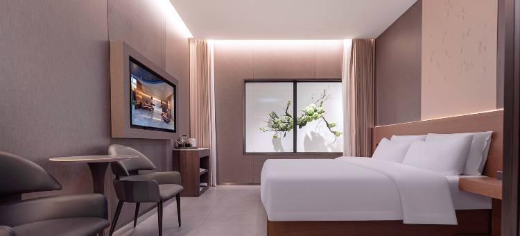 柳州银座酒店(五星步行街音乐喷泉店)图片