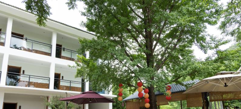 天水知青山庄(麦积山石窟店)图片