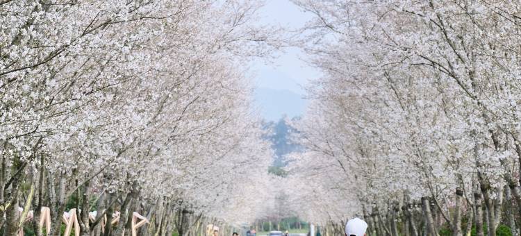 安吉绿郡龙山驿酒店图片
