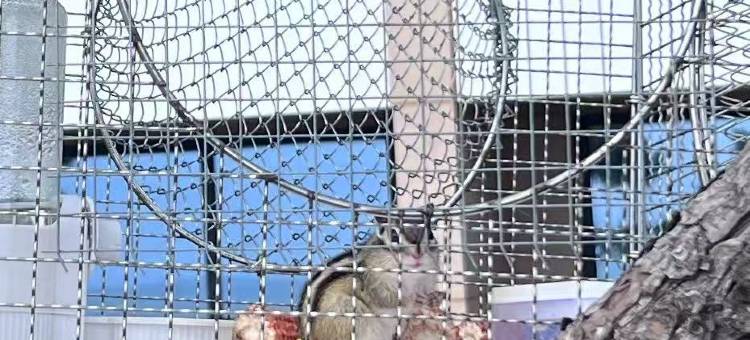 日照松海云舍图片