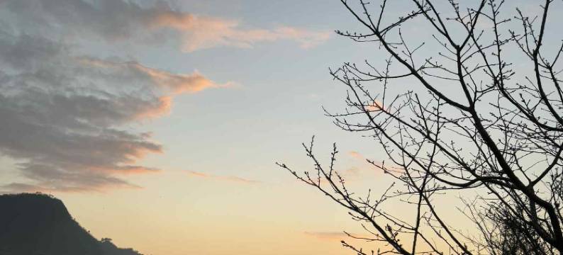 阿里山龙头当归民宿图片