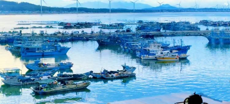 东山海语轩民宿图片