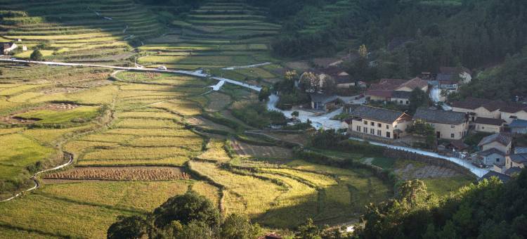 大乐之野(松阳店)图片