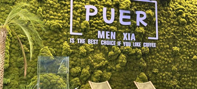 门下·栖聿酒店(戴家巷古建筑群茶马古镇店)图片