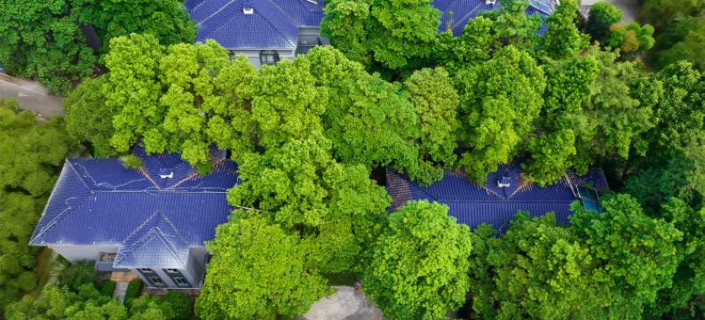 桐园国际酒店(广州东站梅花园地铁站店)图片