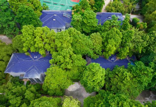 Tongyuan International Hotel (Meihuayuan Subway Station Branch, Guangzhou East Station)Hotel Overview