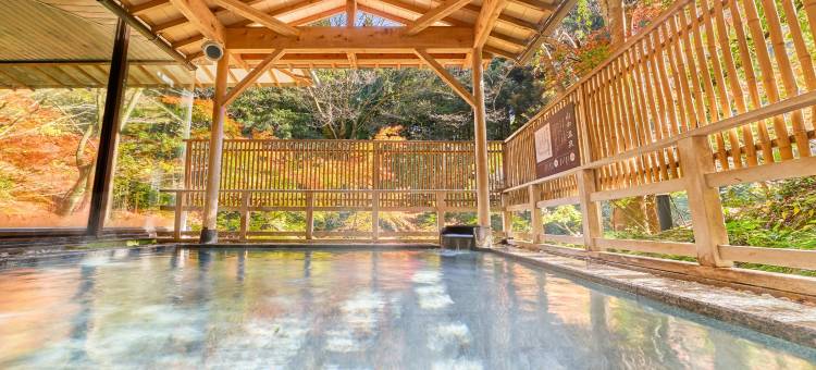 Ooedo Onsen Monogatari Premium Yoshinoya Irokuen(Old:Yukai Resort Premium Yoshinoya Irokuen)图片