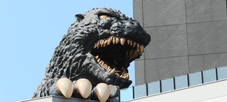 新宿格拉斯丽酒店(Hotel Gracery Shinjuku)图片