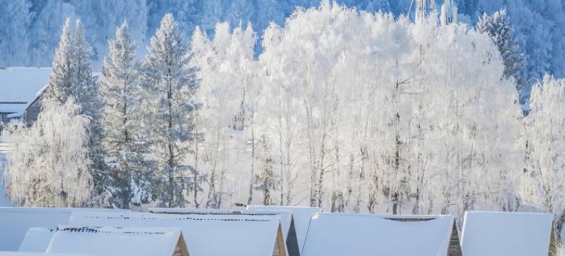 山屿林溪·白桦林雪山观景中古美学咖啡度假民宿(禾木老村店)图片