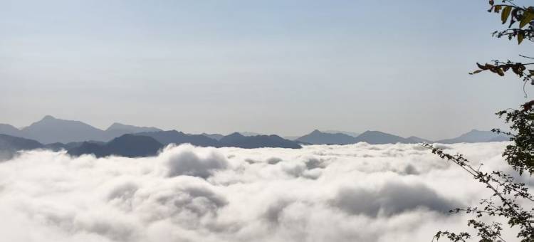 东方蜡染山间民宿(明秀蜡染坊店)图片