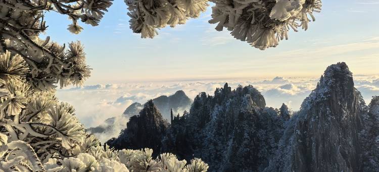 泰安泰山溪美隐居酒店(岱庙景区店)图片