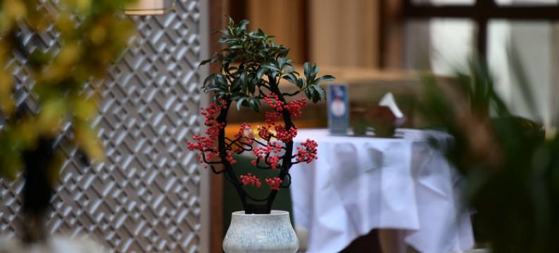 上高镜花湾酒店图片