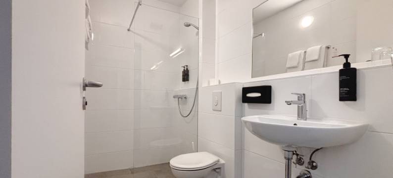 斯图加特-楚芬豪森洲际加纳酒店(Garner Hotel Stuttgart - Zuffenhausen by IHG)图片