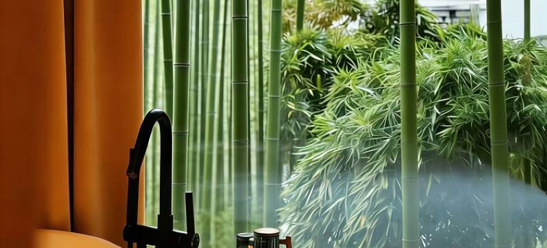 苏州观前街WOPAI我拍酒店图片