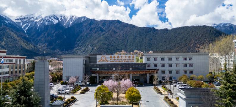 博泰林芝大酒店图片