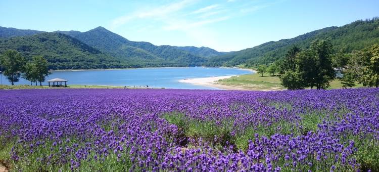 北海道南富良野万枫酒店(Fairfield by Marriott Hokkaido Minamifurano)图片