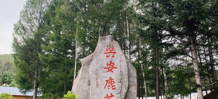 丰林兴安鹿苑(五营国家森林公园店)图片