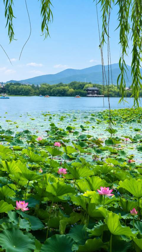 水云间·一线湖景美宿(徐州云龙湖风景店)图片