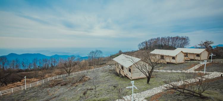 望青来|野奢营地图片