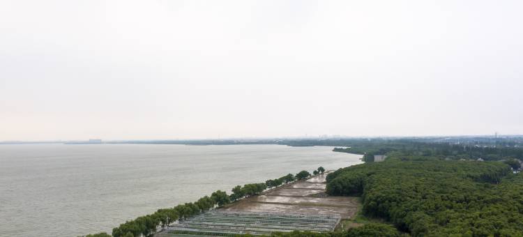 淀山湖小渔村民宿图片
