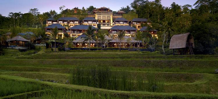 曼答帕丽思卡尔顿隐世酒店(Mandapa, a Ritz-Carlton Reserve)图片