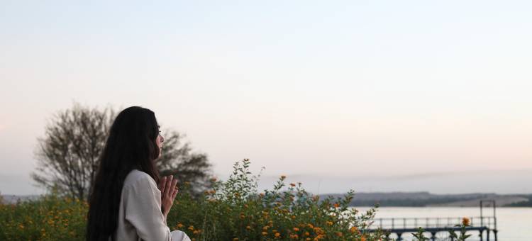 禅宗健康度假村(The Zen Wellness Resort)图片