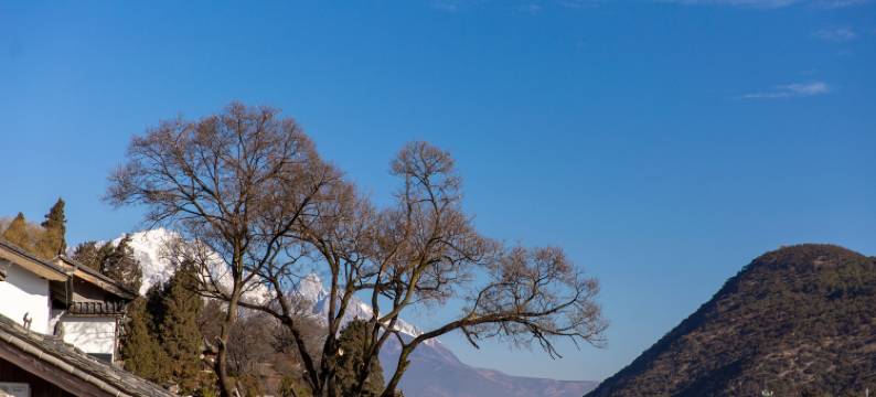 一见一山·侘寂风半山观景度假中古合院谧花园(丽江古城木府店)图片