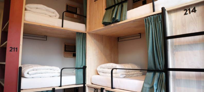 蜜蜂青年旅馆(The Bee Hostel)图片