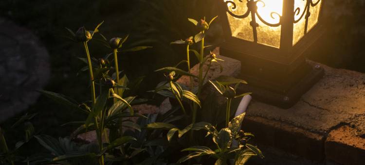 Princess·吉舍·花镜庄园欧式度假小屋图片