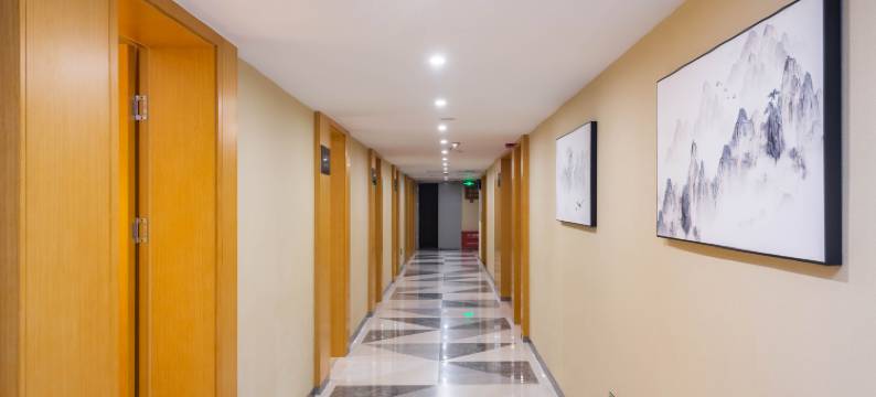 帅府铂雅饭店(武汉国博中心王家湾地铁站店)图片