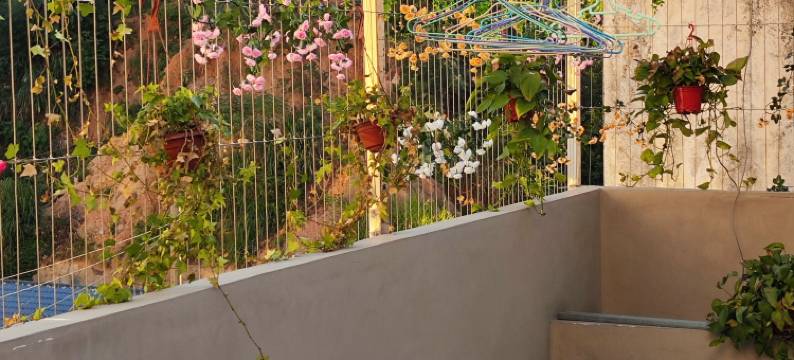 山韵民宿(南岳衡山景区大庙店)图片