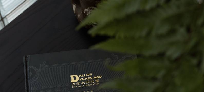 大理•张三的歌海景民宿(磻溪S湾洱海生态廊道店)图片