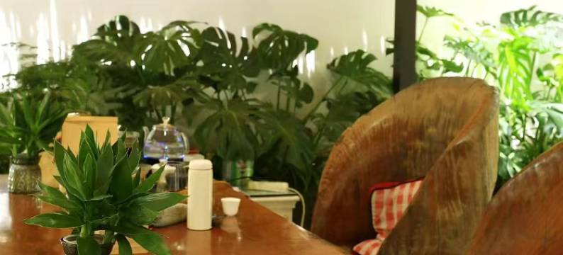 他她故事度假旅馆(和顺古镇图书馆店)图片