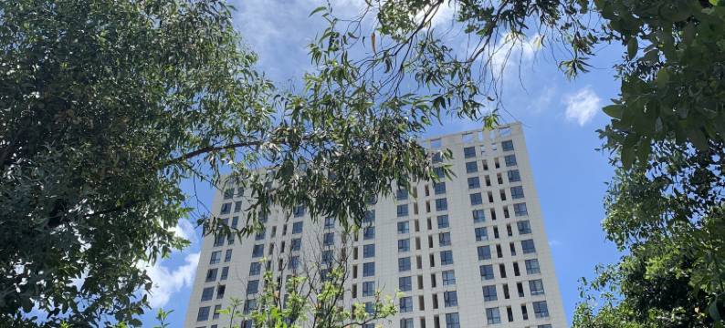 与白观影民宿(南悦城店)图片